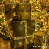 Гирлянда светодиодная Роса Winter Glade 200 ламп, CB202